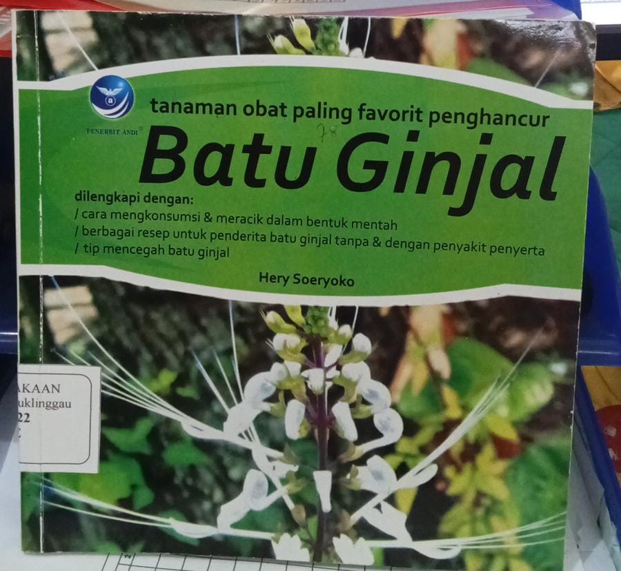 Batu Ginjal